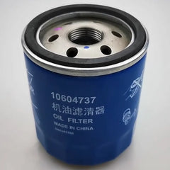 Chinese Supplier Auto Oil Filter OE 10604737